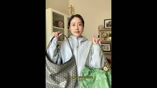 香奈儿22bag和Goyard Hobo对比分享 Part1 [upl. by Claudelle]