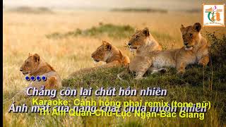 Karaoke Canh hong phai remix tone nu [upl. by Elfstan566]