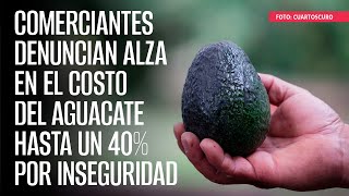 Comerciantes denuncian alza en el costo del aguacate hasta un 40 por inseguridad [upl. by Hamilton673]