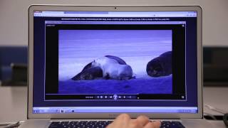 Firefox Video Encoding [upl. by Bowrah]