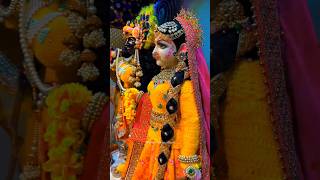 Shyama Aan Baso  Mesmerizing Bengali Devotional Song shorts [upl. by Arihsay985]