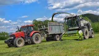 Senáže 2023 Claas Jaguar 970 2x Tatra 815 Agro 2x Case IH Puma New Holland amp John Deere [upl. by Roer]