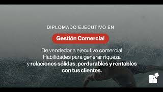 Rol del Ejecutivo Comercial [upl. by Salome]