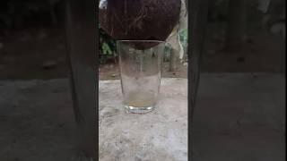 EVS experiment water filtrationwaterampsoil 3rd unitschool [upl. by Burny]