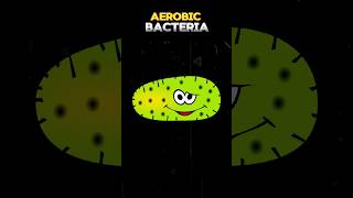 AEROBIC BACTERIA aerobicbacteria aerobicbacteria  WHAT IS AEROBIC BACTERIA shortsviraltreand [upl. by Blessington]