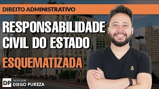 Responsabilidade Civil do Estado Esquematizada [upl. by Eveiveneg920]