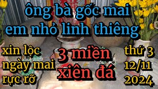 Trở lại ông bà gốc mai cùng em nhỏ linh thiêng xin lộc rực rỡ t312112024 [upl. by Kuehn979]