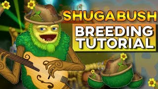 HOW TO BREED Shugabush 100  SOUND Plant Island  My Singing Monsters [upl. by Phira58]