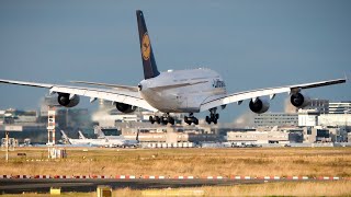 Planespotting Frankfurt airport 2024 [upl. by Name18]