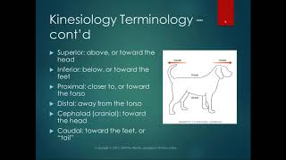 Chapter 1 Lecture Part 1 Kinematics and Basic Terminology [upl. by Atinnor75]