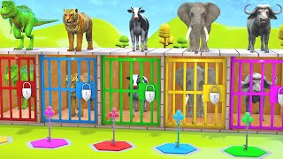 Long Slide Game With Elephant Gorilla Buffalo Hippopotamus Tiger  3d Animal Game  Funny 3d Animals [upl. by Nalda838]