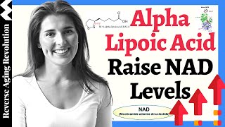 Raise NAD Levels With ALPHA LIPOIC ACID  HOW amp WHICH FORM  Explained By NAD Lead Scientist [upl. by Lorenza]