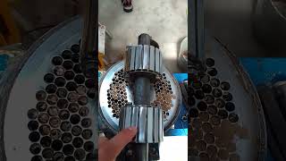 Tipos de Peletizado feed pellet machine [upl. by Yatnuhs]