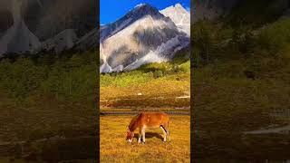 quotThe Harmony of Nature’s Elementsquotnature travel naturefilms beautiful mountains shorts [upl. by Atahs]