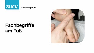 Fachbegriffe am Fuß [upl. by Reseda]