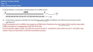 18 b B Given below is a schematic representation of a mRNA strandi In the above [upl. by Gabbi]