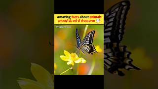 Amazing facts about animals 🦁🤯  facts  animals facts  shorts  reels  facts shorts viral [upl. by Cioffred]