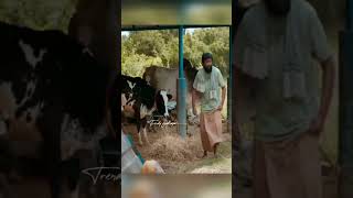 Dei Yara antha paiyan Hey Naa tha Antha paiyan paiyadei asalkolaar sasikumar nathan [upl. by Nimrac125]