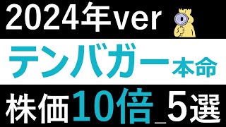 【2024年テンバガー候補】新NISA成長投資枠で仕込みたい大化け候補5選をご紹介！ [upl. by Atilrahc127]