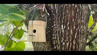 DIY Hummingbird House [upl. by Jewett]