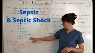 Sepsis amp Septic Shock [upl. by Aneekal]