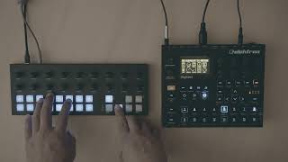 Digitakt Torso T1 [upl. by Nho]