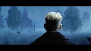 Fantastic Beasts  GRINDELWALD REVEAL Explained amp Harry Potter Connections [upl. by Ariamo]