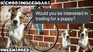 rchoosingbeggars  Ep 100  quotTrade for a puppyquot [upl. by Edgerton966]