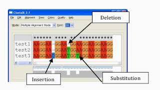 Point Mutations Detection [upl. by Anrol759]