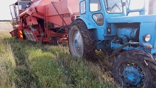 Dronningborg 1250 combine stuck  T40 Help  Kombaino gelbėjimas [upl. by Einaj]