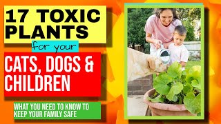 17 Toxic Plants for your CatsDogs and Children What you need to knowPetSafety KeepKidsSafe [upl. by Eslehc]