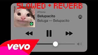 Beluga  Belupacito Slowed  reverb [upl. by Silvestro]