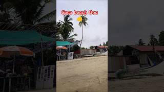 Coco beach in Goa 👌 please like and subscribe ❤️ [upl. by Crowns129]