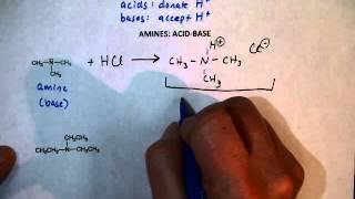 Amine Reactions AcidBase [upl. by Hiroko]