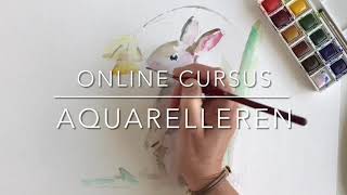 Online cursus leren Aquarelleren en schilderen voor beginners Lida Meines hoe maak ik een aquarel [upl. by Norym]