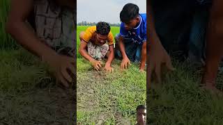 🤌🤌 experiment motivation crazyxyz farming amazingfacts facts smartlifehacks smarthome funny [upl. by Nylyoj]