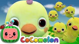 Five Little Birds 2  CoComelon Nursery Rhymes amp Kids Songs [upl. by Eckardt409]