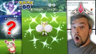 Shiny Oricorio Hunt Take Advantage of THIS before its Too Late Rotom Research Pokémon GO [upl. by Llertniuq]