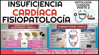 INSUFICIENCIA CARDÍACA FISIOPATOLOGÍA  GuiaMed [upl. by Cerallua]