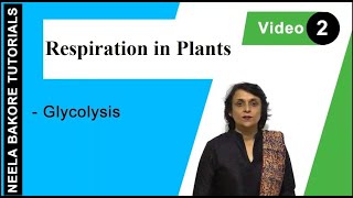 Respiration in Plants  NEET  Glycolysis  Neela Bakore Tutorials [upl. by Eahsan]