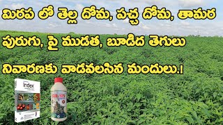 SLR 525 Insecticide Uses Telugu SLR 525 insecticide in telugu  Nagarjuna Index fungicide in Telugu [upl. by Zerimar158]