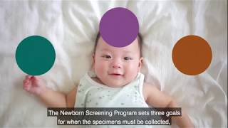 California Newborn Screening Timeliness Project [upl. by Sherburne62]