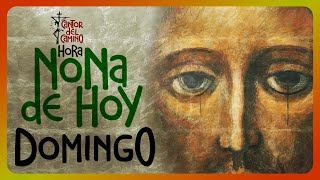 🟢 ORACIÓN DE NONA DOMINGO 13 de Octubre de 2024 Liturgia de las Horas [upl. by Willner]