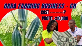 The Cost of starting Okro farming from scratch and the Profits of 10000 to make  Agribusiness [upl. by Steve228]