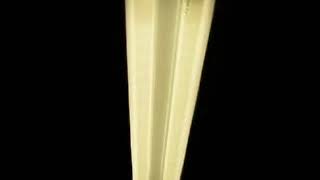 Striations in Fluorescent lamps [upl. by Joline616]