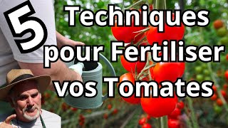 Du Semis à la Récolte Techniques Clés pour Nourrir vos Tomates NPK 51010 [upl. by Jourdan]