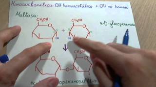 Disacáridos monocarbonílicos [upl. by Stefanac]