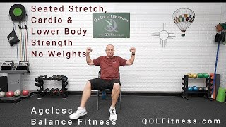 Ageless Balance Senior Exercise 45Minute Seated Cardio Core Exercises amp Stretching [upl. by Shalom]