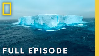 Antarctica Home at the End of the Earth Full Episode  Incredible Animal Journeys [upl. by Llewkcor]