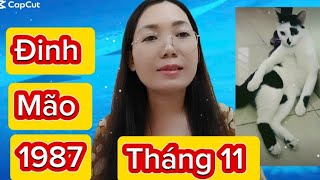 tuoi Đinh Mão SN 1987 Tháng 11 ÂL năm 2024 Nam Nữ [upl. by Allen]